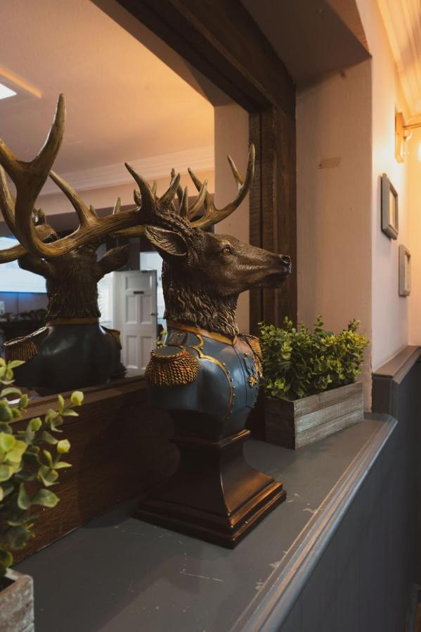The Stag Hotel And Mailmans Arms Линдхърст Екстериор снимка