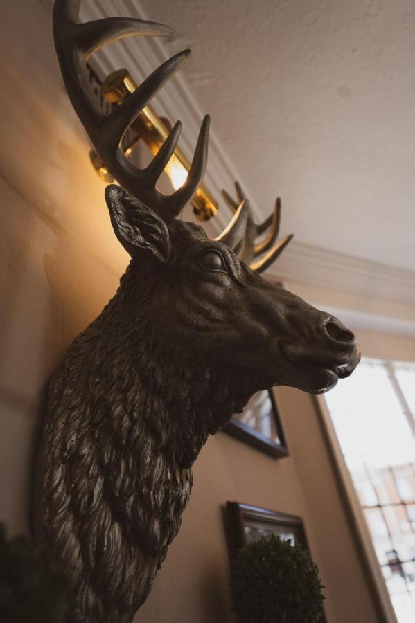 The Stag Hotel And Mailmans Arms Линдхърст Екстериор снимка