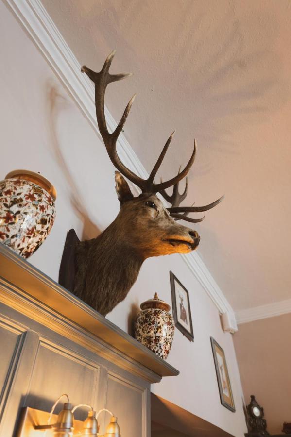 The Stag Hotel And Mailmans Arms Линдхърст Екстериор снимка
